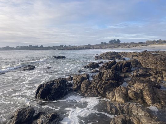 Que ce soit du bord, en bateau, en prospection ou à vue, il est important de sélectionner un matériel adapté!