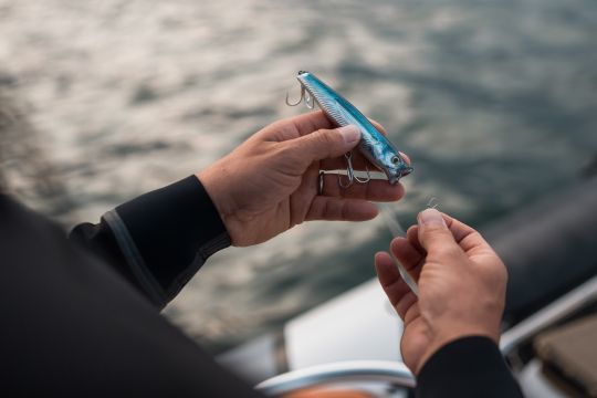 La pêche aux leurres de surface