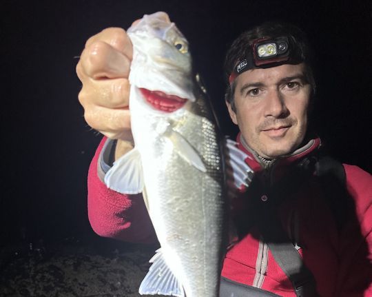 Patience et discrétion même de nuit