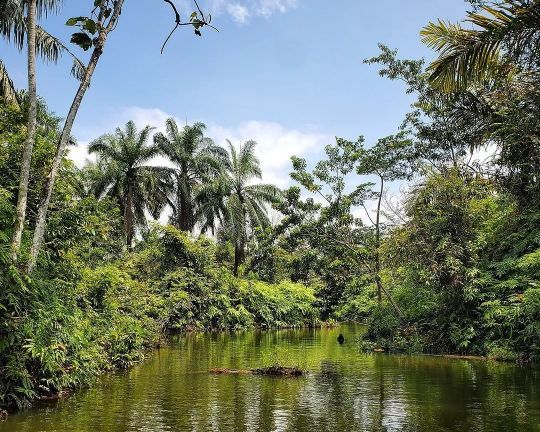 Prospecter les baies abritées