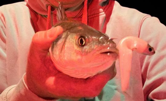 Le coloris blanc, un incontournable