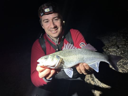 Bar pris au leurre souple