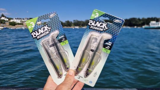 Color Box FIIISH BLACK MINNOW №1,№2 & №3 Special Selection Natural & Flashy