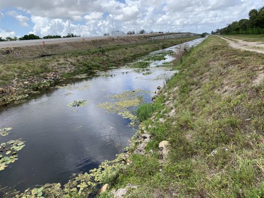 La végétation est un point déterminant !