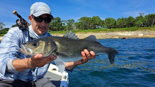 Superbe bar pour l'auteur .. des poissons très combatif qui sont toujours un régal sur une canne à mouche!  ©pierrerigaleau