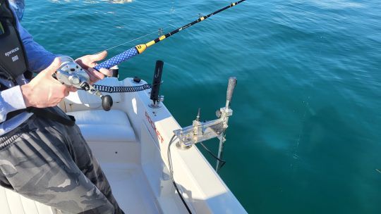 S'adapter au comportement du poisson directement