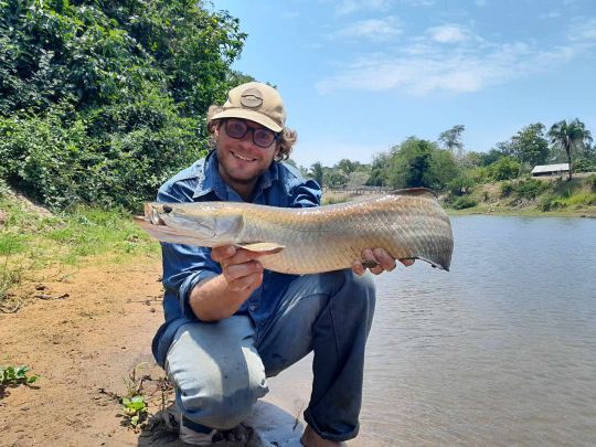 Petit arapaïma attrapé à vue dans moins d'un mètre d'eau.
