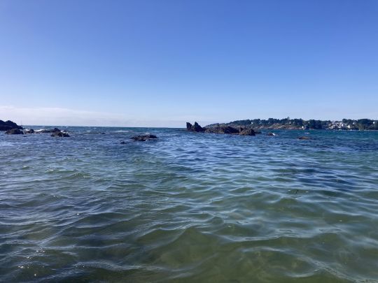 La pêche du bar en plage demande des prospecter au streamer de vaste étendue en l'absence d'activite, mais permet parfois de prendre de jolis bars!
