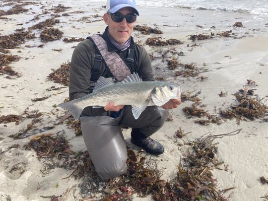 Les plages sont souvent fréquentées par les bars qui y trouvent toutes sortes de nourritures: crabes, crevettes, petits poissons. Elles sont à prospecter méthodiquement