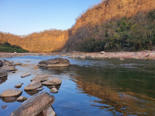 Le Chaco, avec sa forêt sèche.
