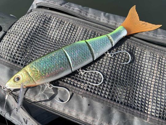 Le Highsider 220 nage en drapeau.