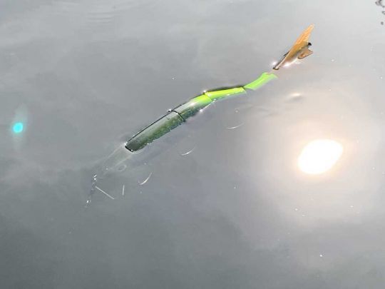 une bonne partie du leurre reste en surface sans bavette.