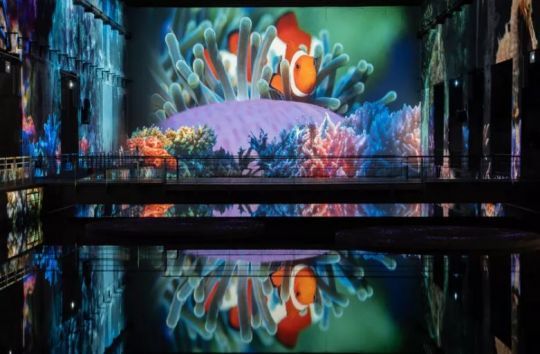 © Culturespaces / Vincent Pinson