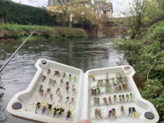 Nymphes et noyées pour la truite de mer montées par l'auteur