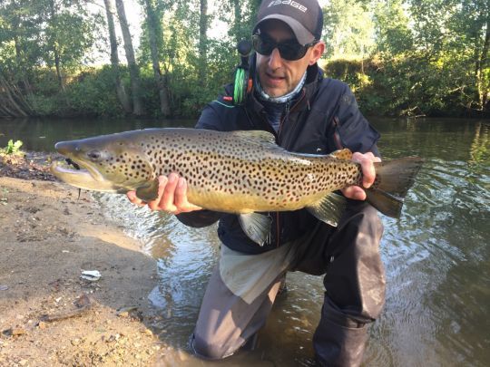 Superbe truite de mer de 65 cm capturée en 2019 au tube fly par eau très teintée