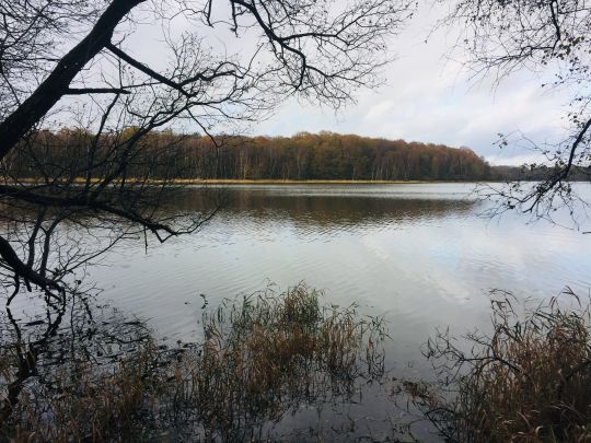 Bien connaitre les écosystème aquatiques permet de savoir où et quand pêcher 