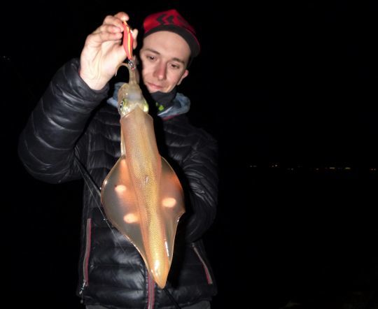 Jouer avec l'influence de la lune ?