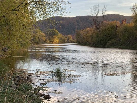 Les petites rivières abritent de belles surprises !
