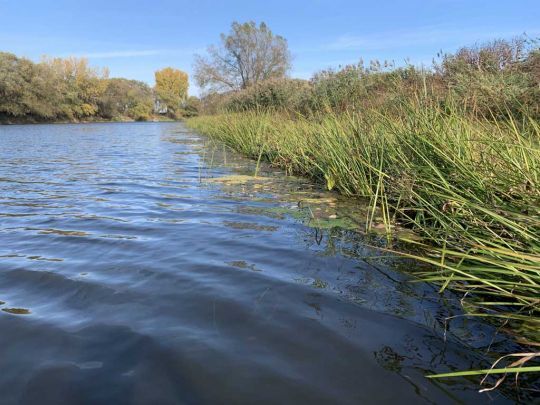 Cette bordure mérite d'être testée en été !