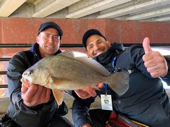 Le drum est un poisson atypique qui nous a rapporté des points