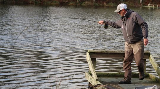Il est possible d'utiliser la cormorant de différentes manières en fonction des conditions et activités des poissons