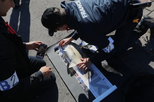 Le soulagement de mesurer un tel drum