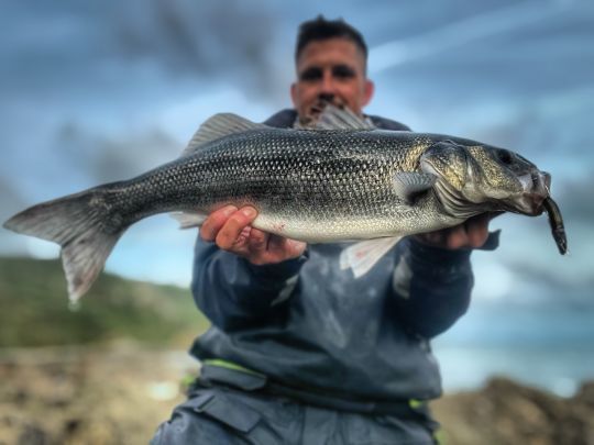 Les estuaires abritent de jolis poissons. Là-bas, vous serez bien à l'abri des fortes conditions météo qui rendent les sorties compliquées sur le bord de côte.