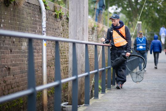 La pluie favorise souvent l'activité des poissons