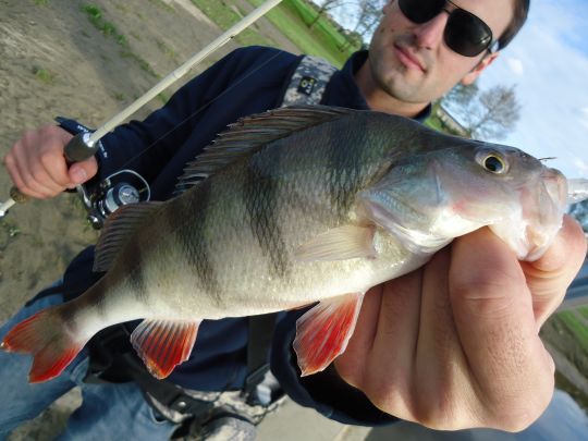 Les remous concentrent les poissons
