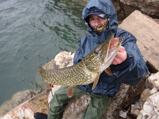 Toujours tenir compte du biotope.
