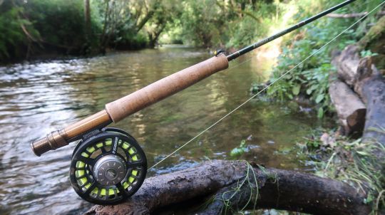 Une canne courte pour pêcher la truite sera de mise pour pratiquer en petite rivière