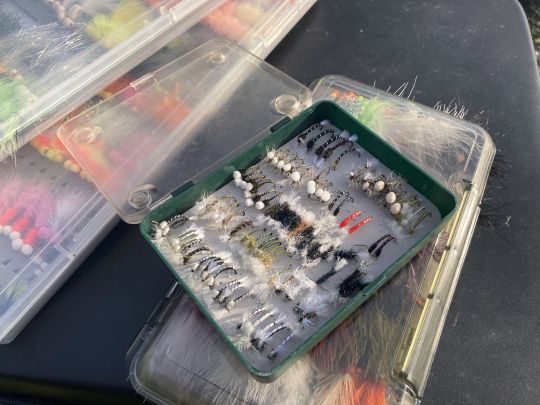 Les chiros sont bien présents à la Sablonnière et les truites s'en délectent lors d'éclosion à la faveur d'un léger réchauffement