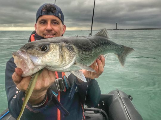 Jouer la discrétion avec un leurre de type finesse, comme ce Shad Impact de Keitech, permet de toucher de jolis poissons assez farouches.