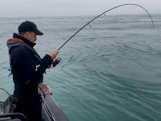 Puissante et très résonnante , la NFC MB 739 de Rodhouse est l'arme parfaite pour ce type de pêche.