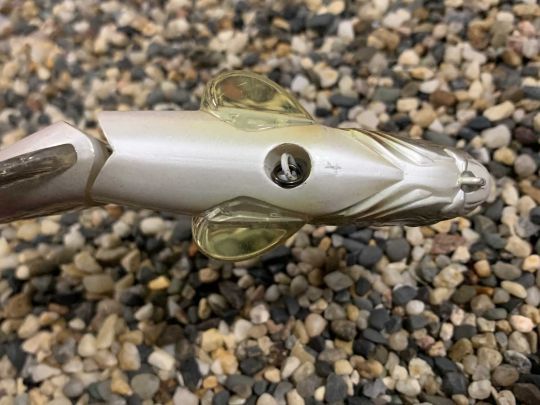 Les émerillons rolling sont appréciés.