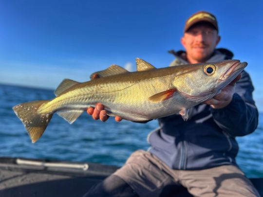 Une des dernières journées de pêche en 2025, avec de très jolis poissons à la clé.