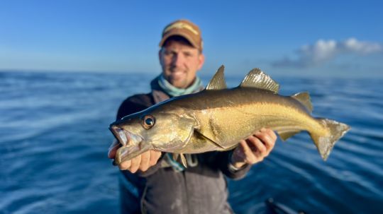 Dès les premières dérives, le choix de la zone fut validé par ce joli lieu jaune.
