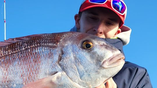 Différentes façons de pêcher le pagre.
