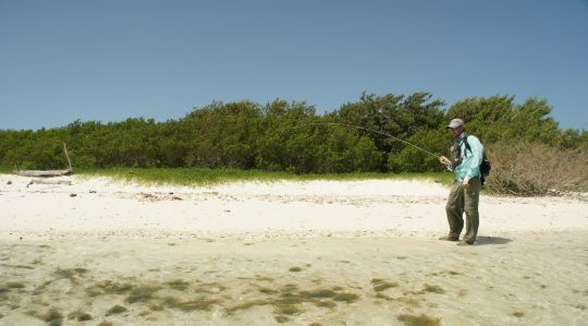 En fin de combat, il faut faire attention au dernier rush, puis amener son poisson dans le bord avant de s'en saisir une fois bien fatigué