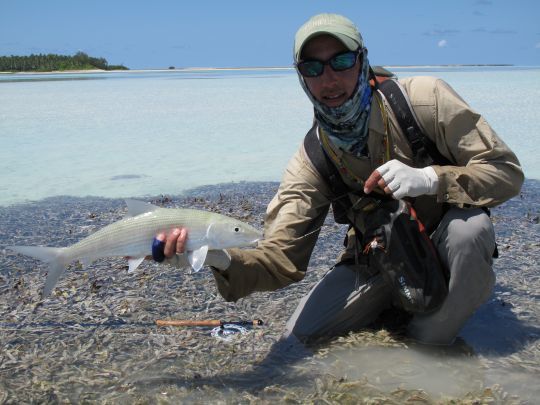 Le choix de la mouche, de sont lestage et de l'animation de la mouche influence beaucoup dans la réussite de la pêche au bonefish