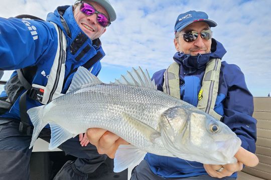 Pour le moment, les poissons ne doivent pas être déclarés