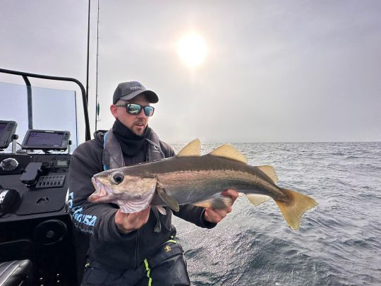 La pêche du lieu en verticale est l'une des techniques où la pause est la plus redoutable. Remontez votre leurre de quelques mètres avant d'effectuer une pause puis de reprendre l'animation.