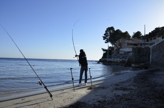 Pêcher les plages de sable en surfcasting.