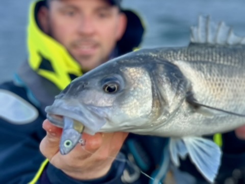 Même si les slugs sont efficaces avec cette technique, c'est en utilisant des shads que je la trouve la plus redoutable. Un joli bar qui aura succombé à l'animation linéaire de ce Master Shad de FIIISH.