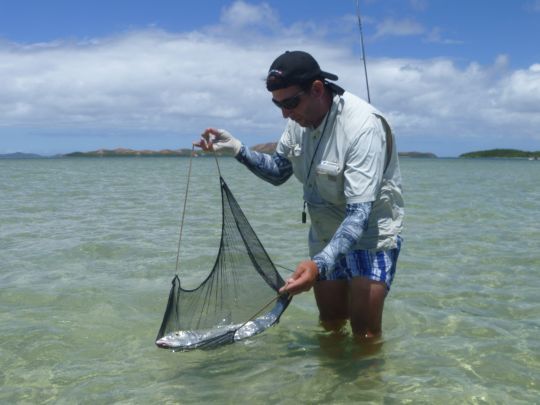 Lorsque l'on traque les gros poissons, certains pêcheurs comme l'auteur, pèse et mesure leur poisson pour les "homologuer".