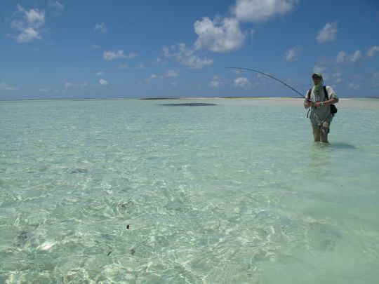 Les gros bonefish peuvent faire de très long rushs et vous sortir une sacrée quantité de backing. Il faut mieux avoir prévu le coup pour sortir ces poissons trophées!