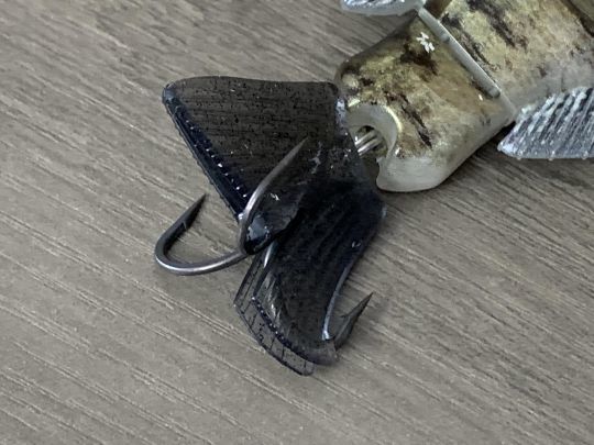 L'hameçon est caché dans la queue.