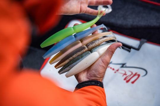 Le One Up V-Tail de Saiwamura est redoutable sur des poissons éduqués