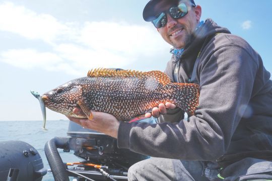 Il n'y a pas que le bar dans la vie de pêcheur en mer !