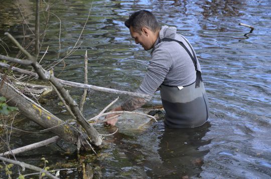 Placer les frayères au bord du plan d'eau.